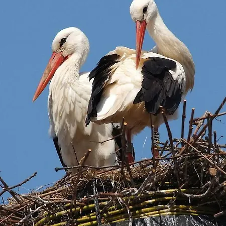 Wellness Le Six H Casa de Férias *